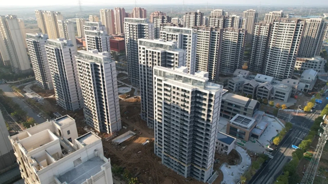 1735018689890.jpg 1735018689890.jpg